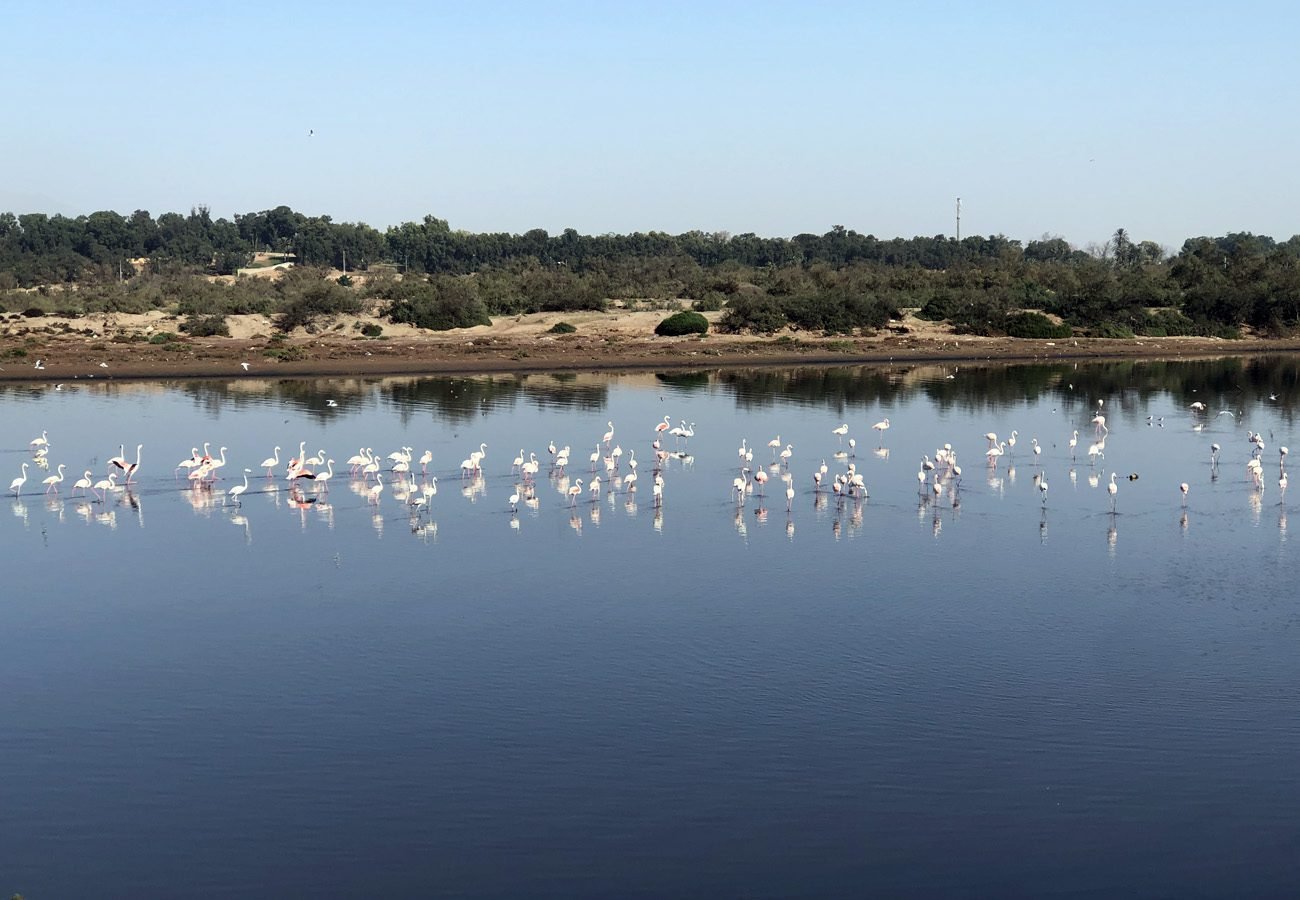 oued souss agadir parc national souss massa agadir