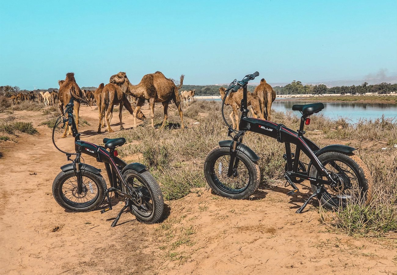 Tour eBike Parc National Souss Massa