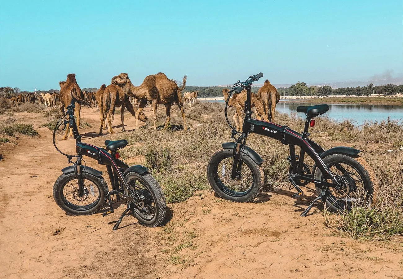Tour eBike Parc National Souss Massa