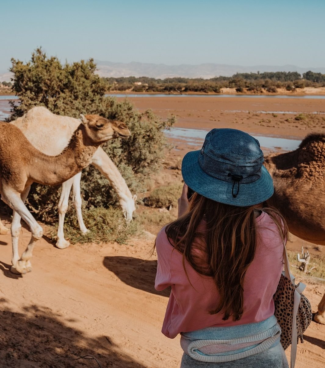 photos parc national souss massa